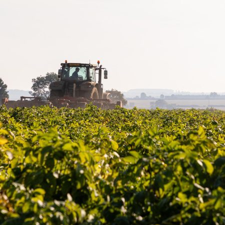 farming-location-photography