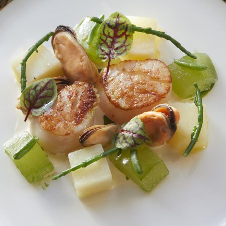 scallops
